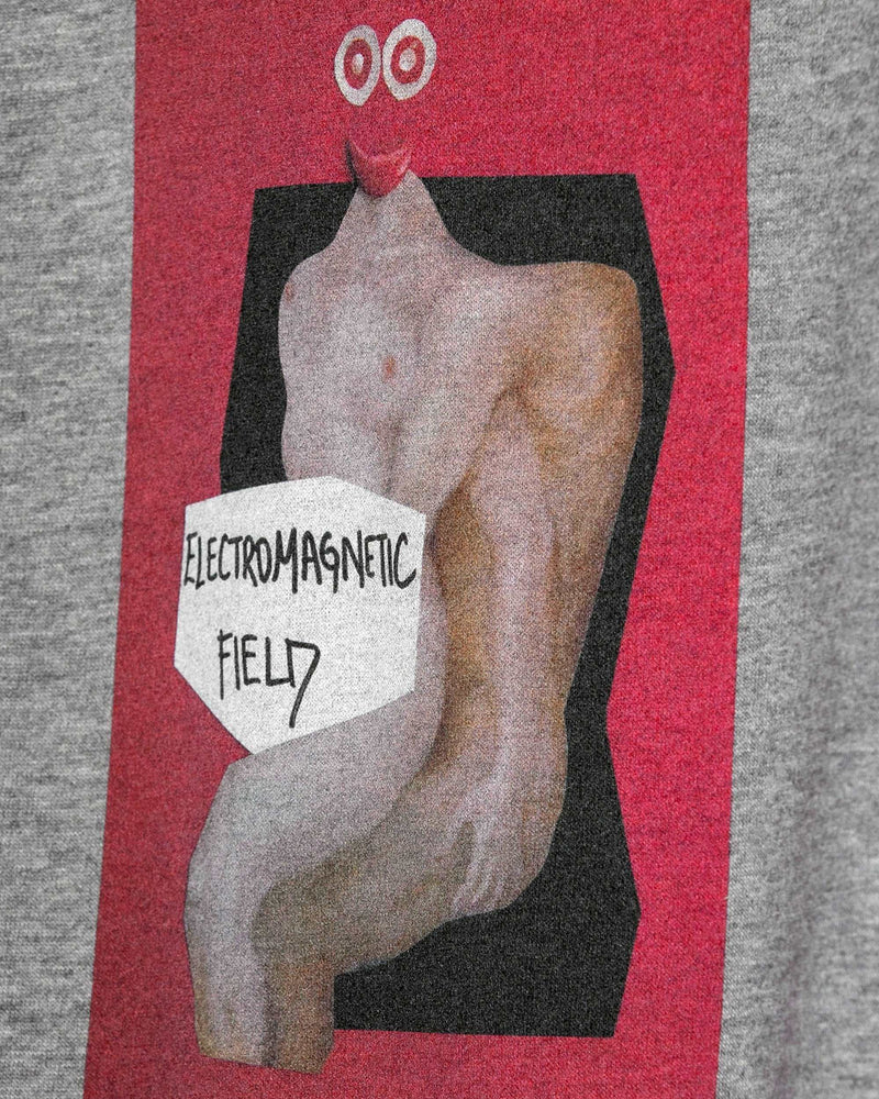 
                  
                    Load image into Gallery viewer, Electromagnetic field Hoodie / Heavyweight Fleece
                  
                