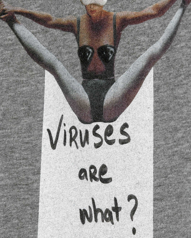 
                  
                    Load image into Gallery viewer, Viruses are what Hoodie / Heavyweight Fleece
                  
                