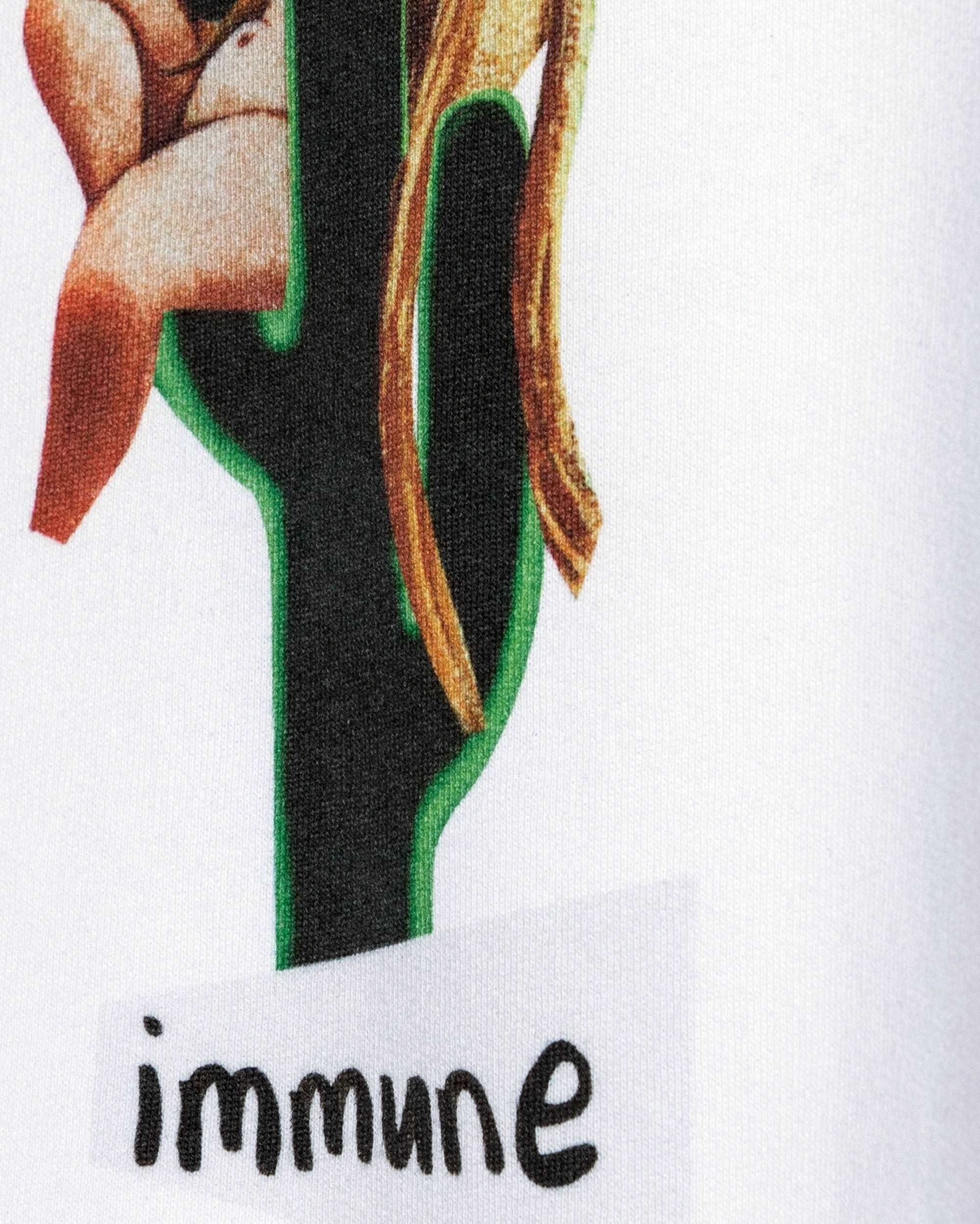 Immune Hoodie / Heavyweight Fleece
