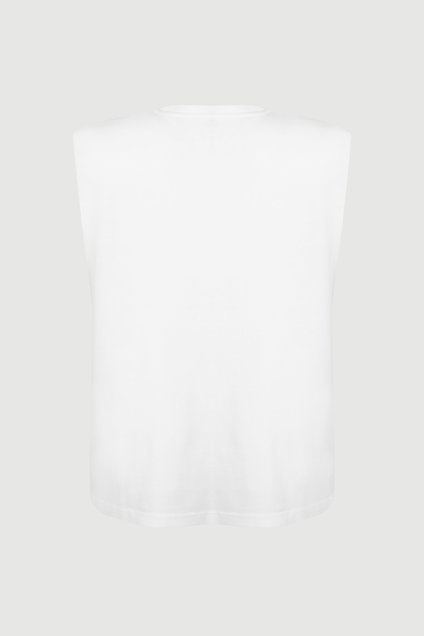 What a F Day / Muscle tank / Men / no sleeves