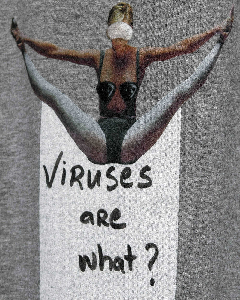 
                  
                    Load image into Gallery viewer, Viruses are what Sweatshirt / Terry
                  
                